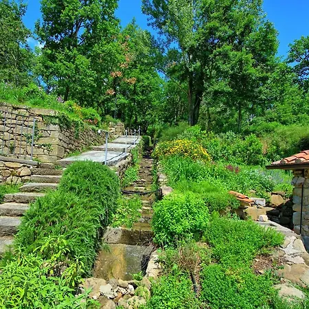 Villa Mulino By Posarellivillas